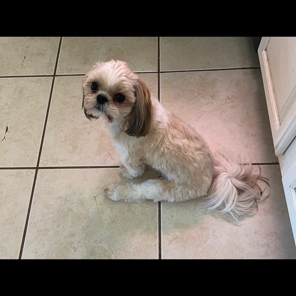 Meet your Posher, Jacksyn - Picture 6 of 16